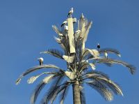 Antennenmasten in Marrakesch 
