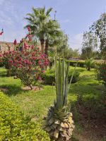 Arganöl-Kooperative Essaouria