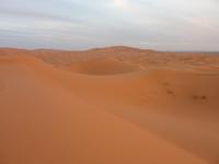 Auf den Sanddünen