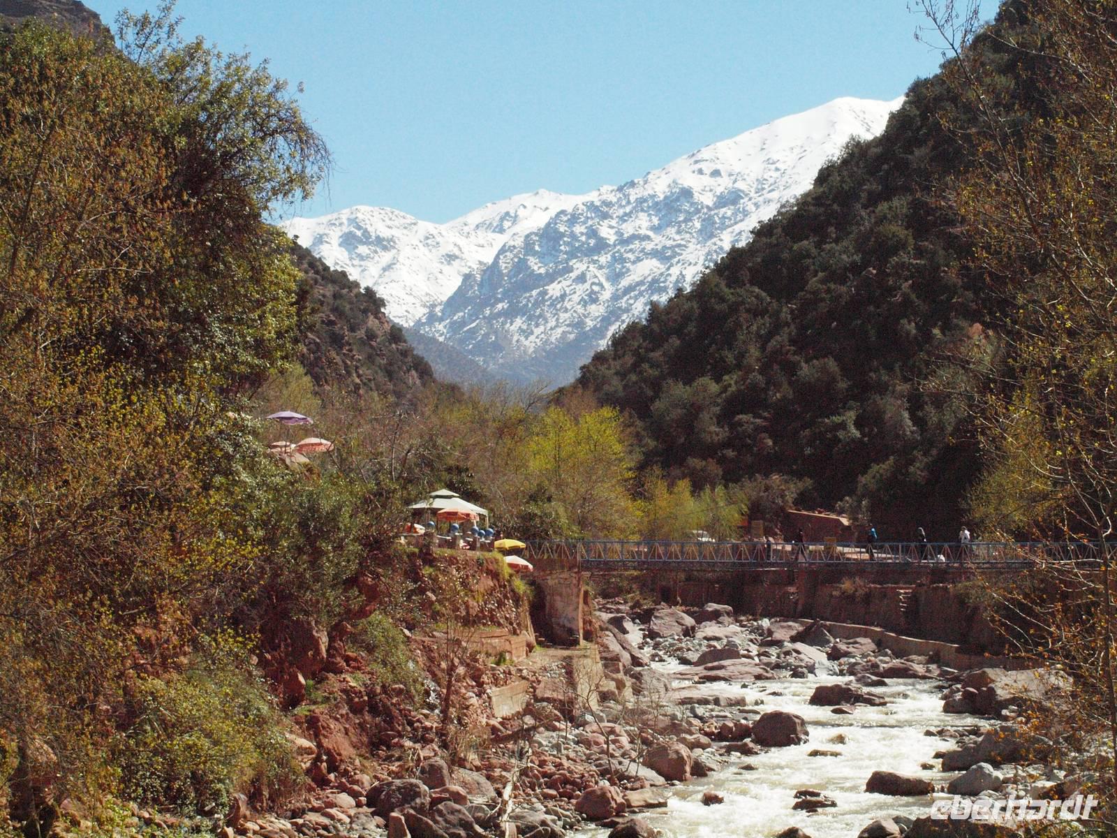 Ausflug ins Ourika-Tal