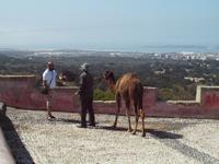Ausflug nach Essaouira
