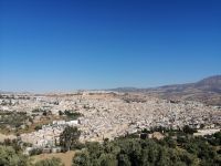 Blick auf die Medina von Fes