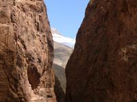 Dades Tal