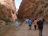 Dades Tal