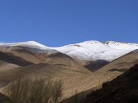 Dades Tal