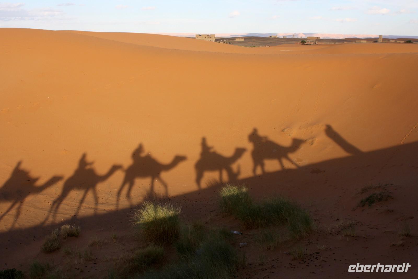 Dromedar-Karawane in der Sahara