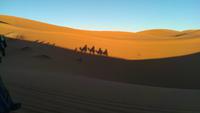 Dromedarritt bei Merzouga