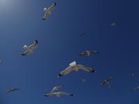 Essaouira