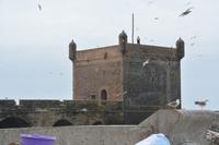 Essaouira2