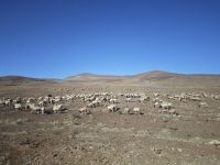 Fahrt Richtung Atlas Gebirge