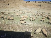 Fahrt Richtung Atlas Gebirge