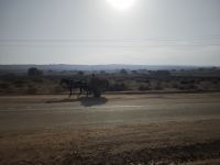 Fahrt nach Casablanca