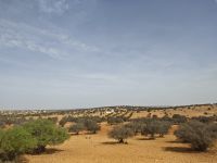 Fahrt nach Essaouria