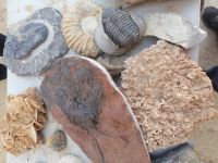 Fossilien und Gipsrosen, Werkstatt in Erfoud