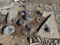 Fossilienwerkstatt