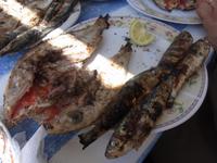 Frischer Fisch
