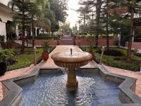Garten im Hotel