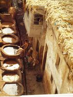 Gerberei in Fès