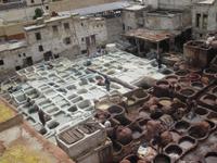 Gerberei in Fes