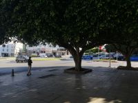 Grünflächen in Rabat