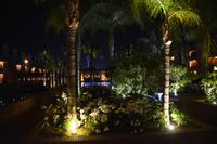 Hotelgarten