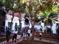 IMG_20191230_105635