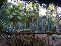 IMG_20200101_103602