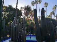 IMG_20200101_104738