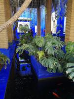 IMG_20200101_105103