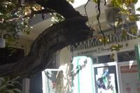 Impressionen6