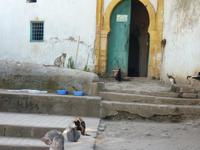 In Rabat