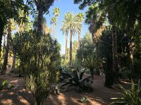 Jardin Majorell in Marrakesch