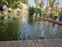 Jardin Majorell in Marrakesch