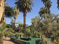 Jardin Majorell in Marrakesch