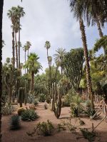 Jardin Majorelle Marrakesch