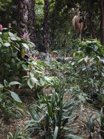 Jardin Majorelle Marrakesch