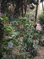 Jardin Majorelle Marrakesch