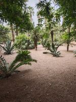 Jardin Majorelle Marrakesch