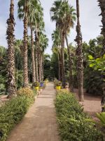 Jardin Majorelle Marrakesch