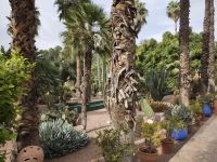 Jardin Majorelle Marrakesch