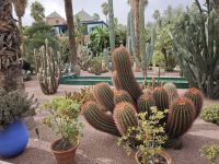 Jardin Majorelle Marrakesch