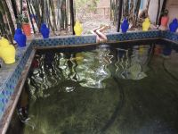 Jardin Majorelle Marrakesch