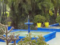 Jardin Majorelle in Marrakesch