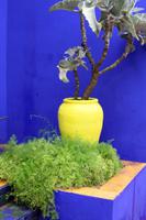 Jardin Majorelle