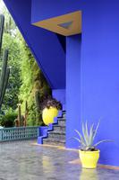 Jardin Majorelle