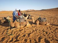 Jeeptour und Dromedareiten in der Wüste