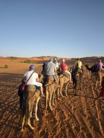 Jeeptour und Dromedareiten in der Wüste
