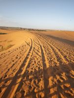 Jeeptour und Dromedareiten in der Wüste