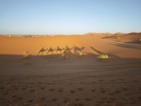 Jeeptour und Dromedareiten in der Wüste