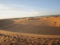 Jeeptour und Dromedareiten in der Wüste